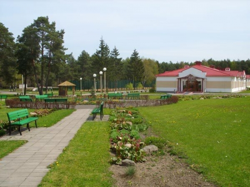 Children's health camps